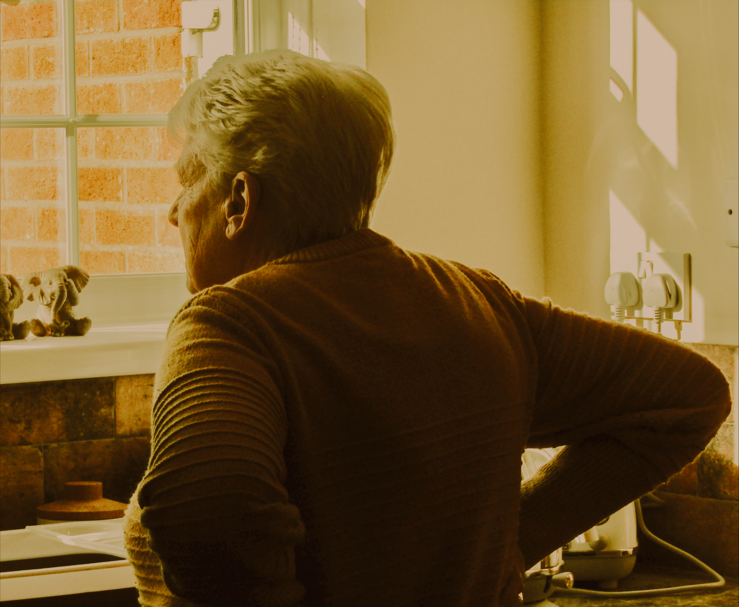 Domesticity 01 (2024)