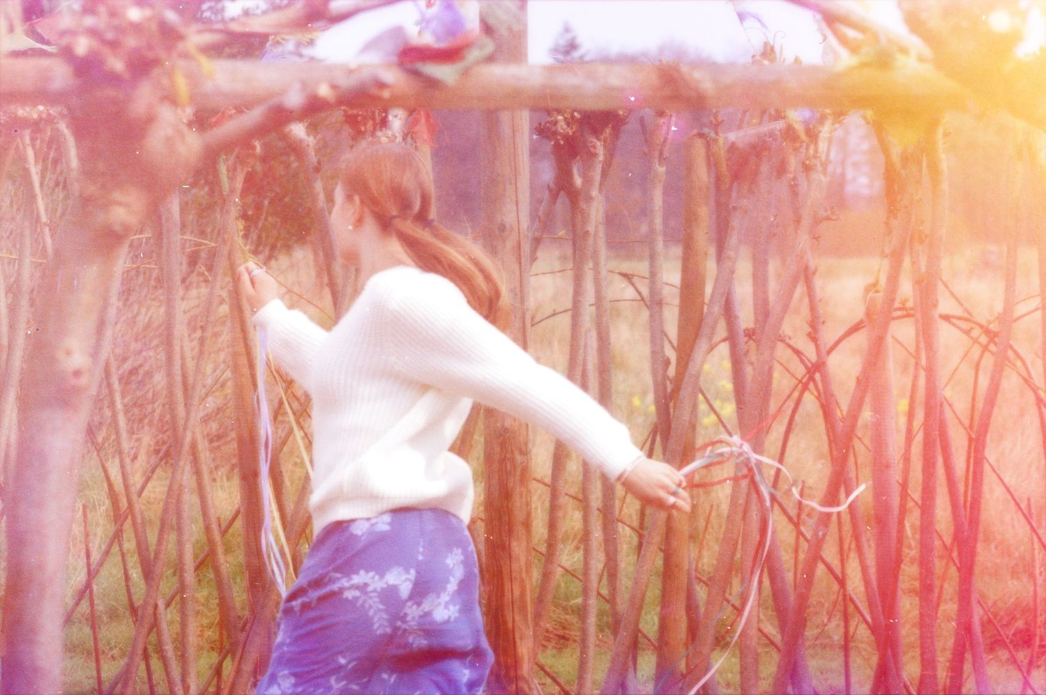 Constancy/Traditional Cycle (2023)
