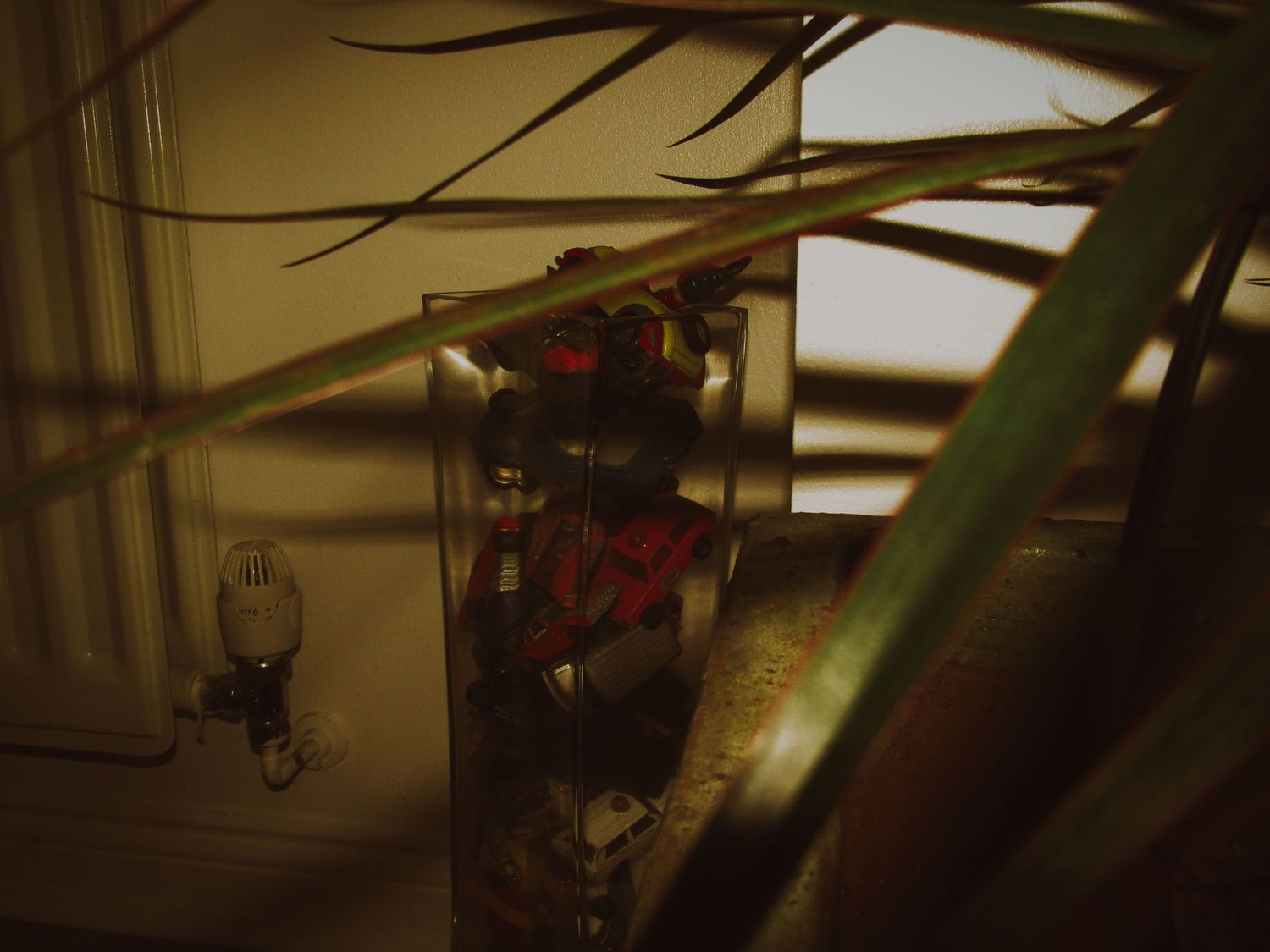 Domesticity 06 (2024)
