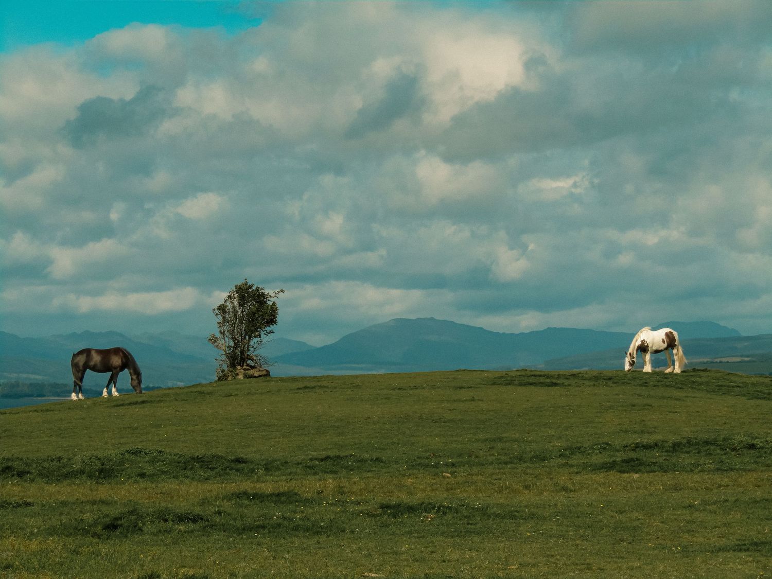 Fine art landscape of horses grazing on Scottish moors with cloudy blue sky, framed wall art prints and downloads.