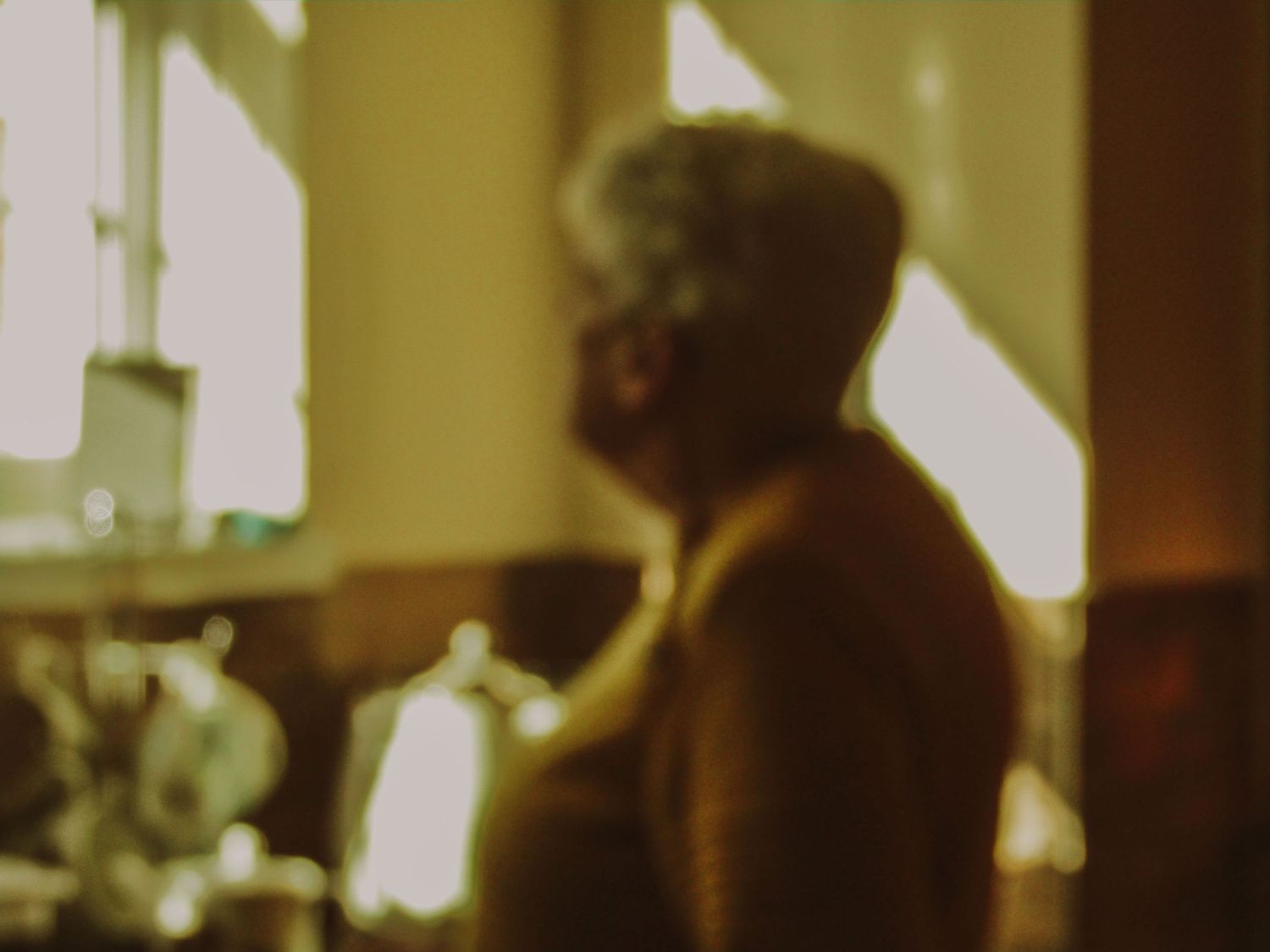 Domesticity 04 (2024)