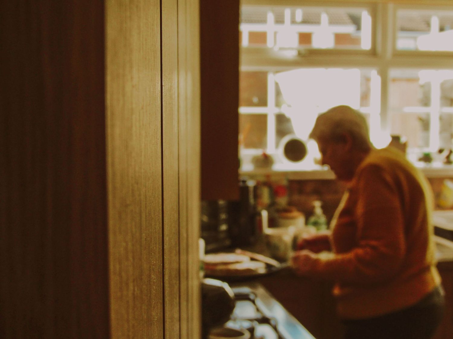 Domesticity 03 (2024)