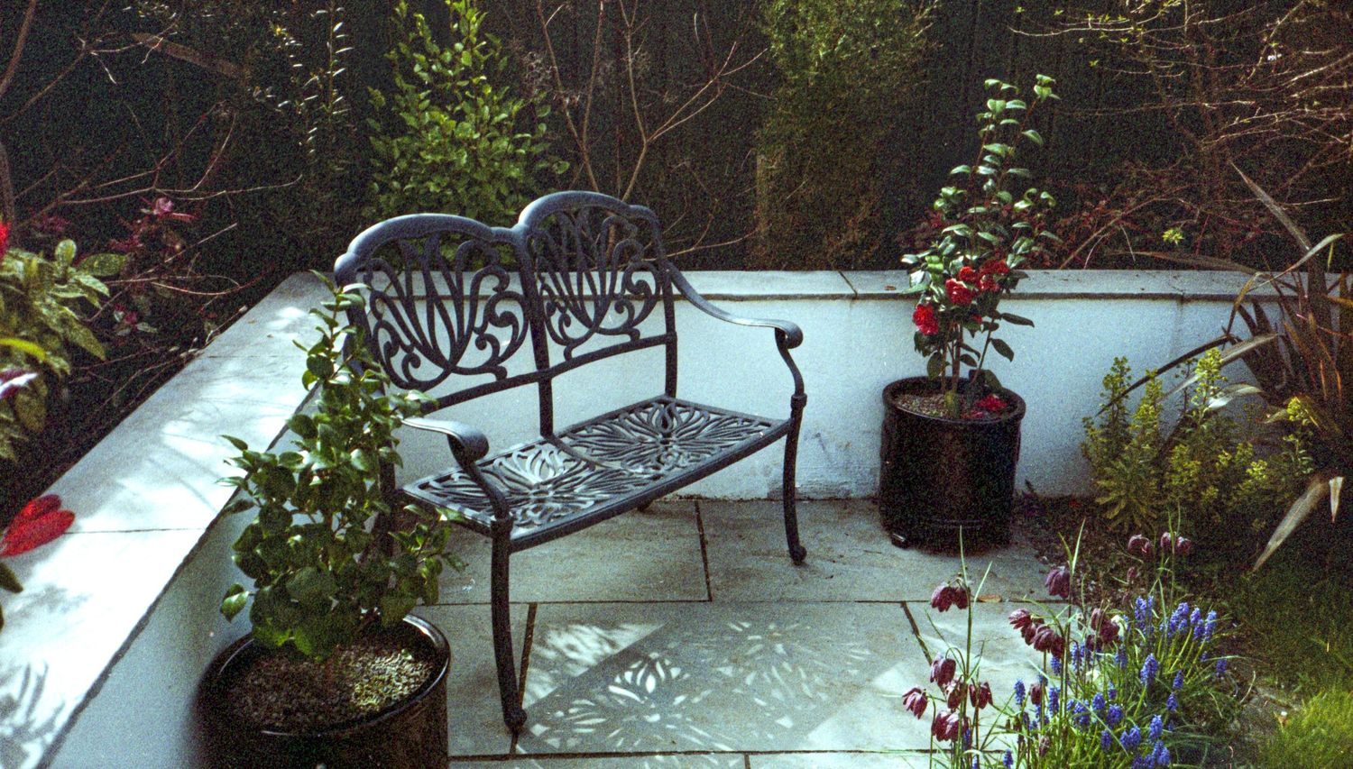 Old Film 03 (2024)
