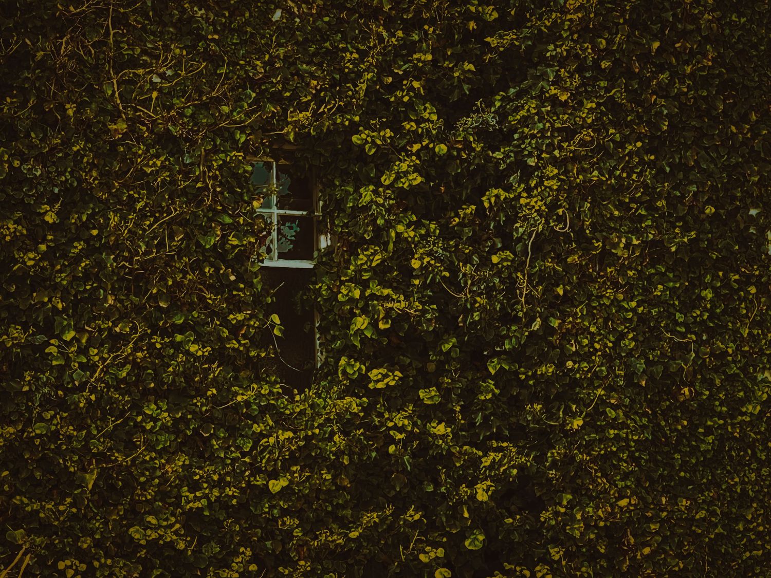 Observation 05 (2024)