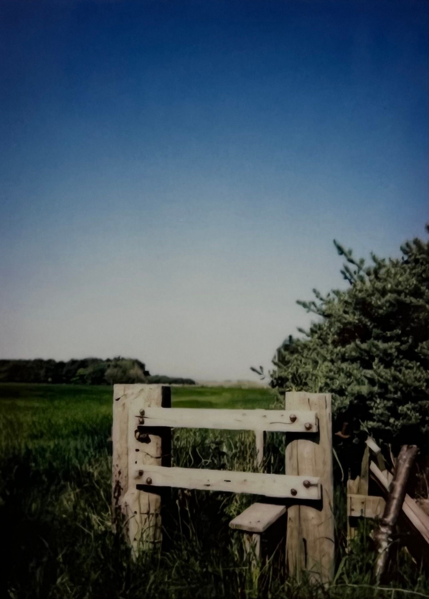 Analogue photo of field with old sty on polaroid camera.
