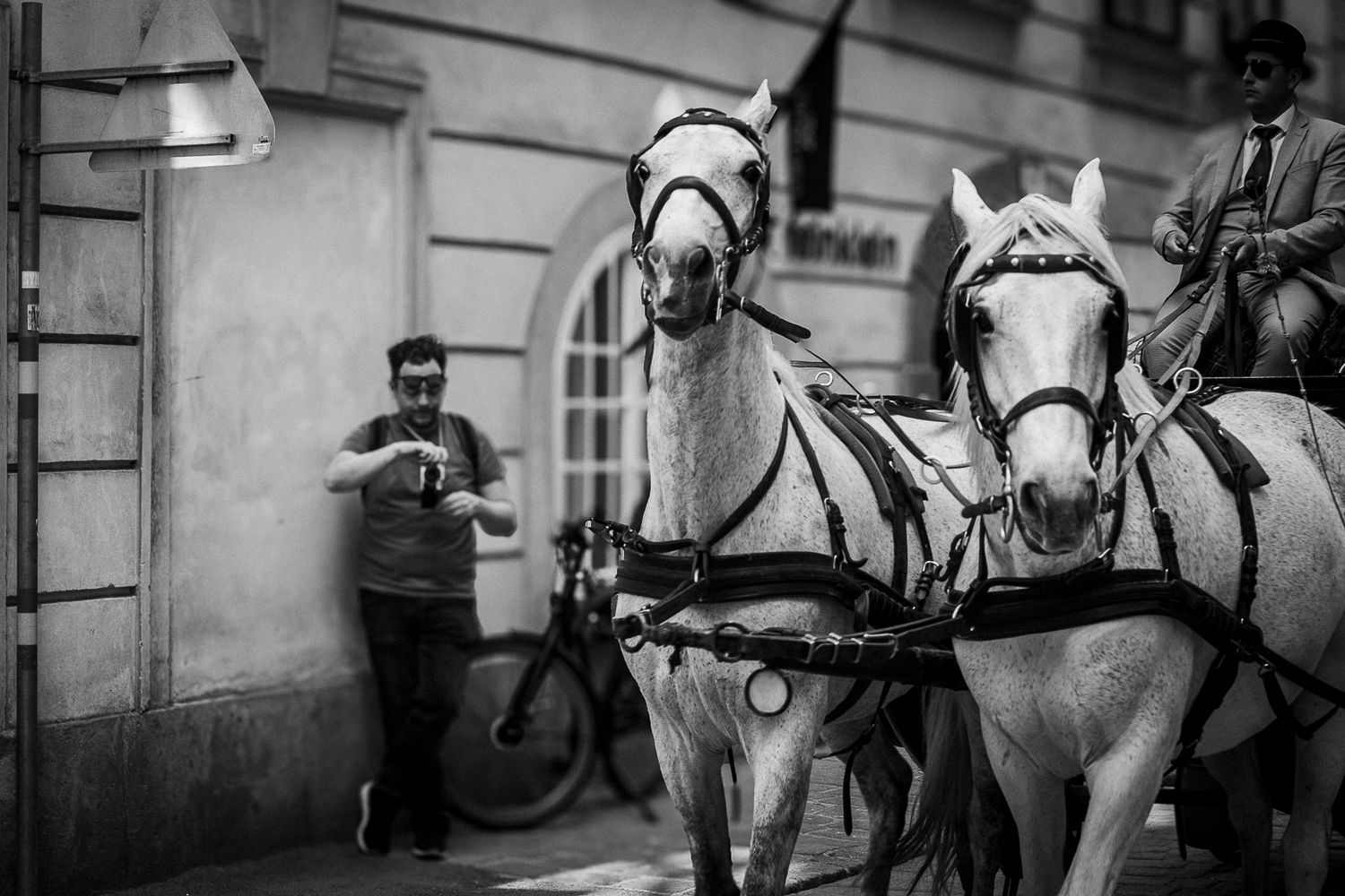 Vienna travel photos, cinematic travel, classic movie style, Vienna snaps, Vienna emotional snaps. 비엔나 여행 사진, 시네마틱 여행, 고전영화스타일, 비엔나 스냅, 비엔나