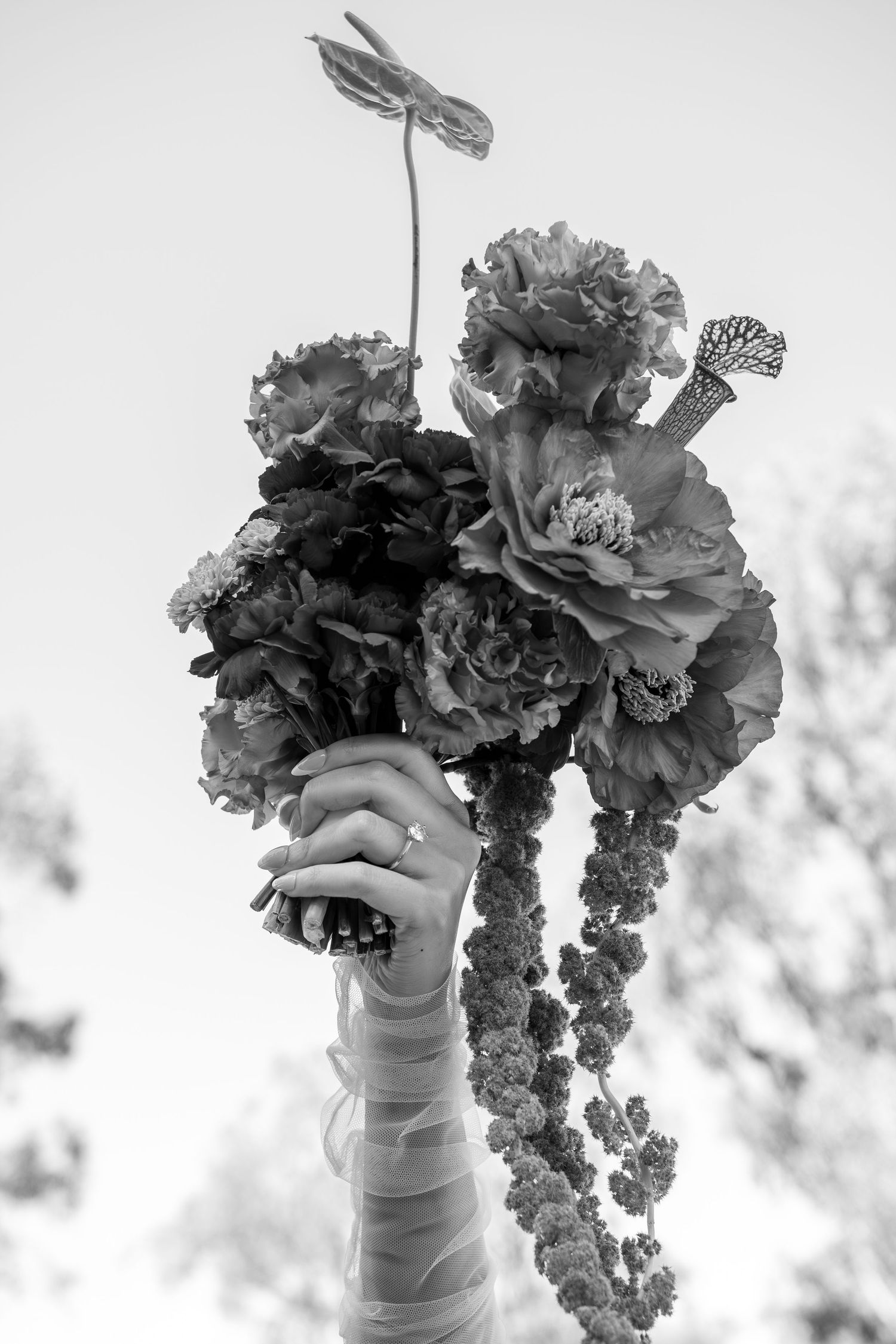 A bandaged hand holds up a dramatic black and white floral arrangement with a dragonfly accent against a light background.