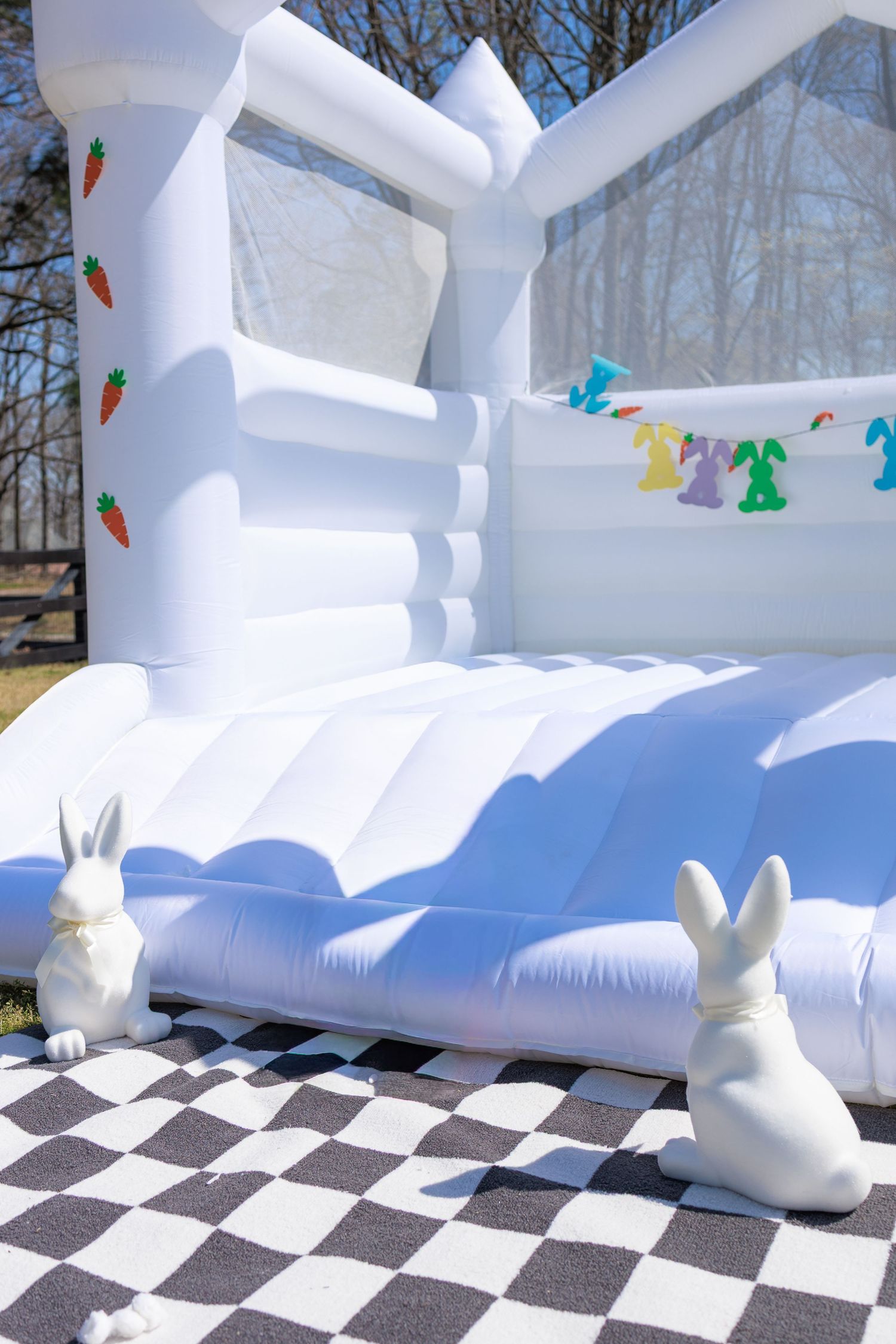 My first bounce castle pop-up - Easter minis. **Reminder that I do not share any photos of children on my public pages - ever!**