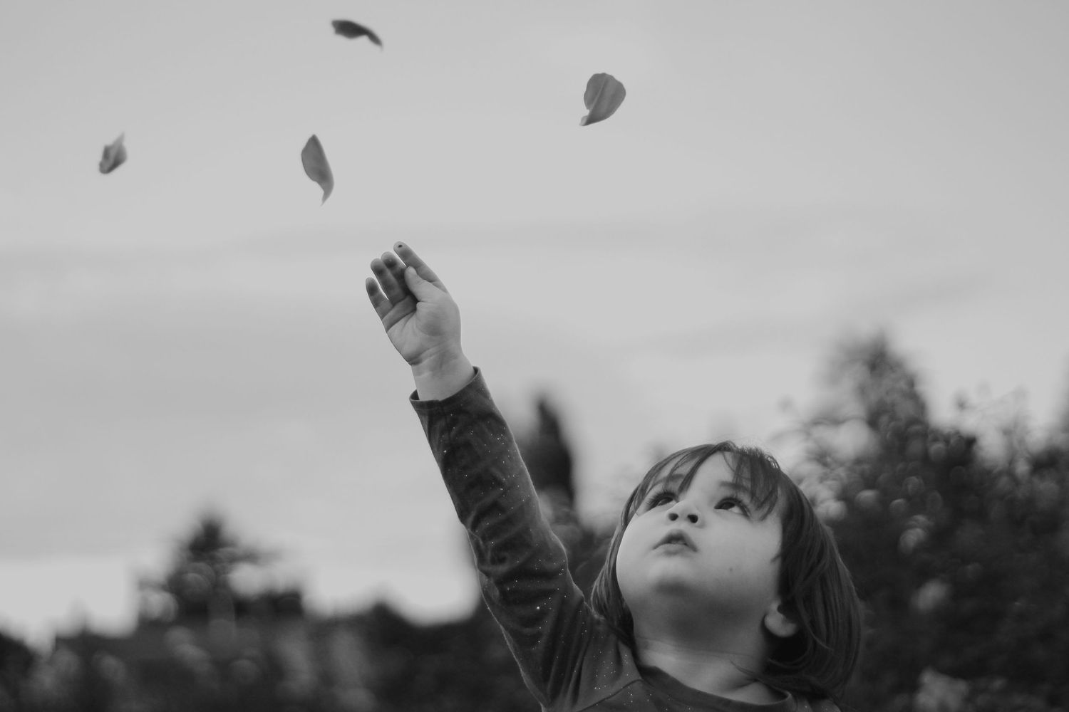 Child portrait