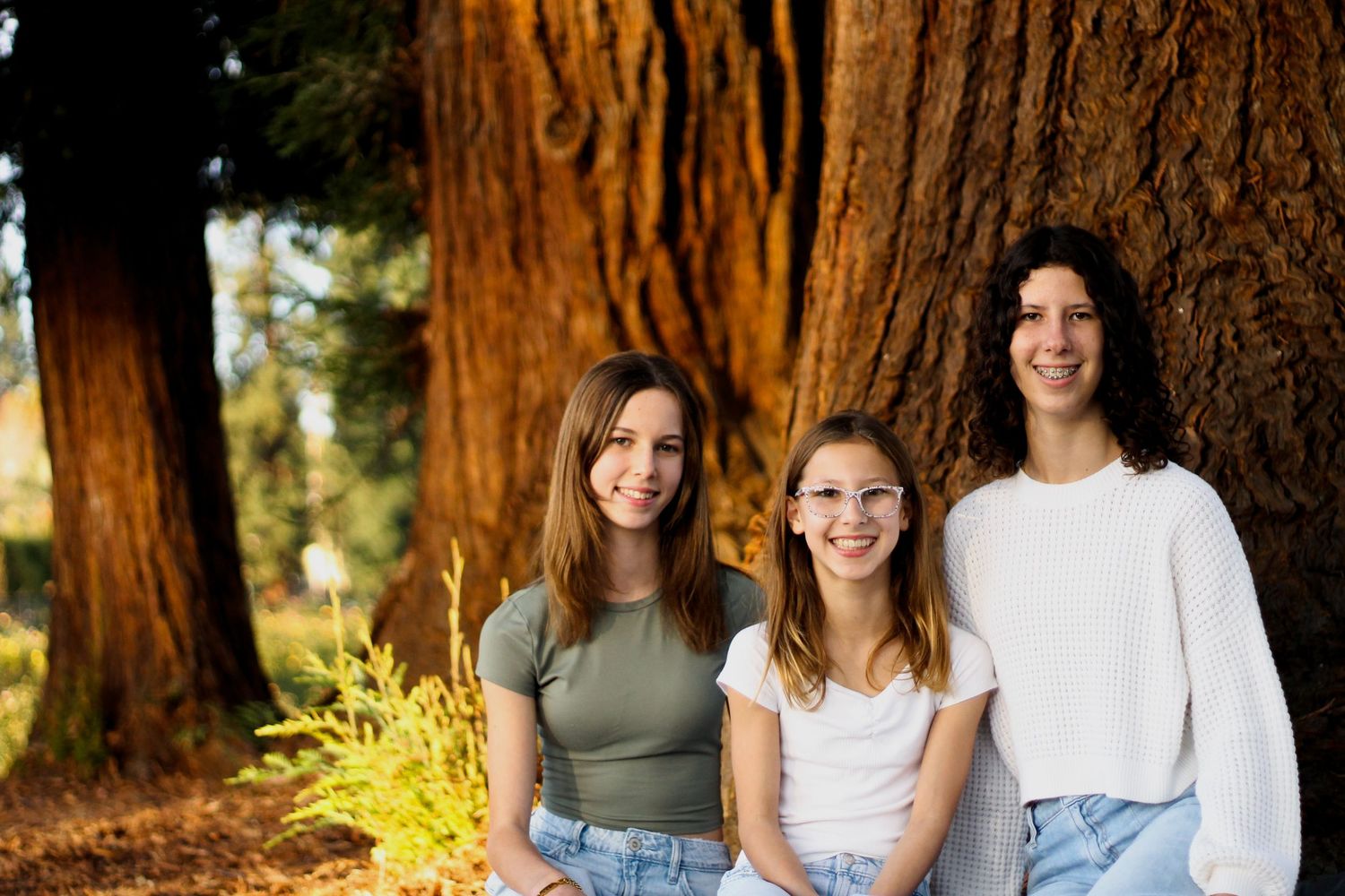 Family portraits