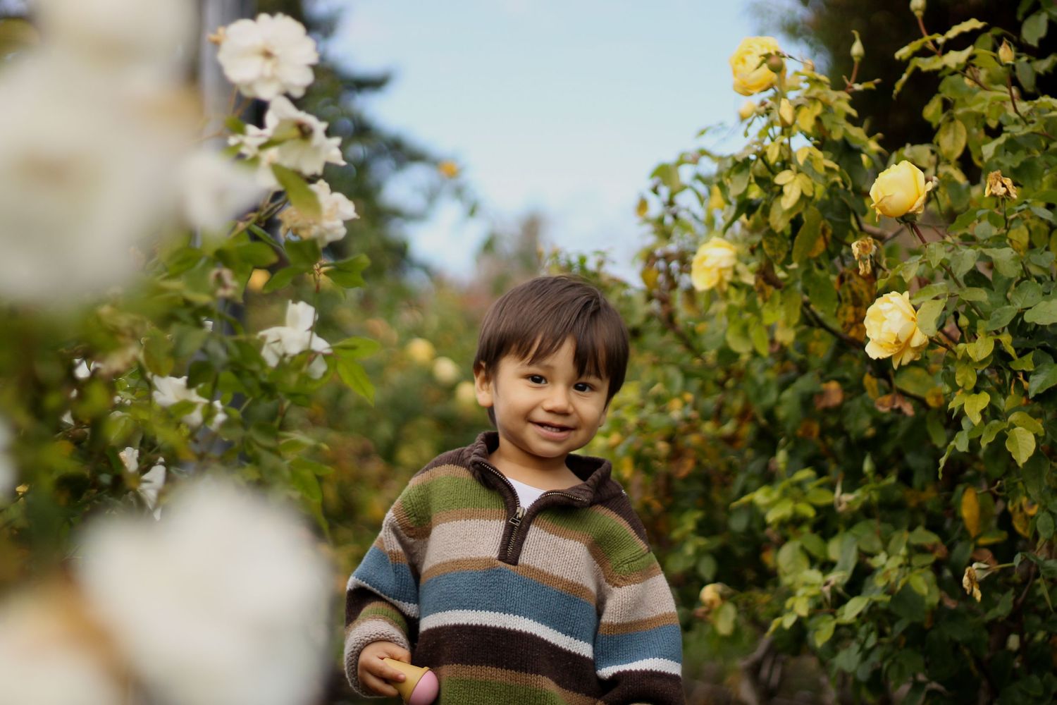 Child portrait