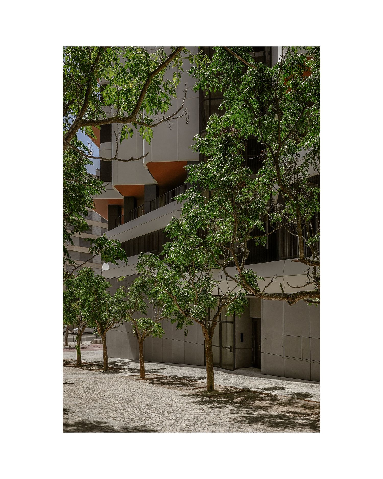 Modern apartment building facade partially hidden behind lush green trees.