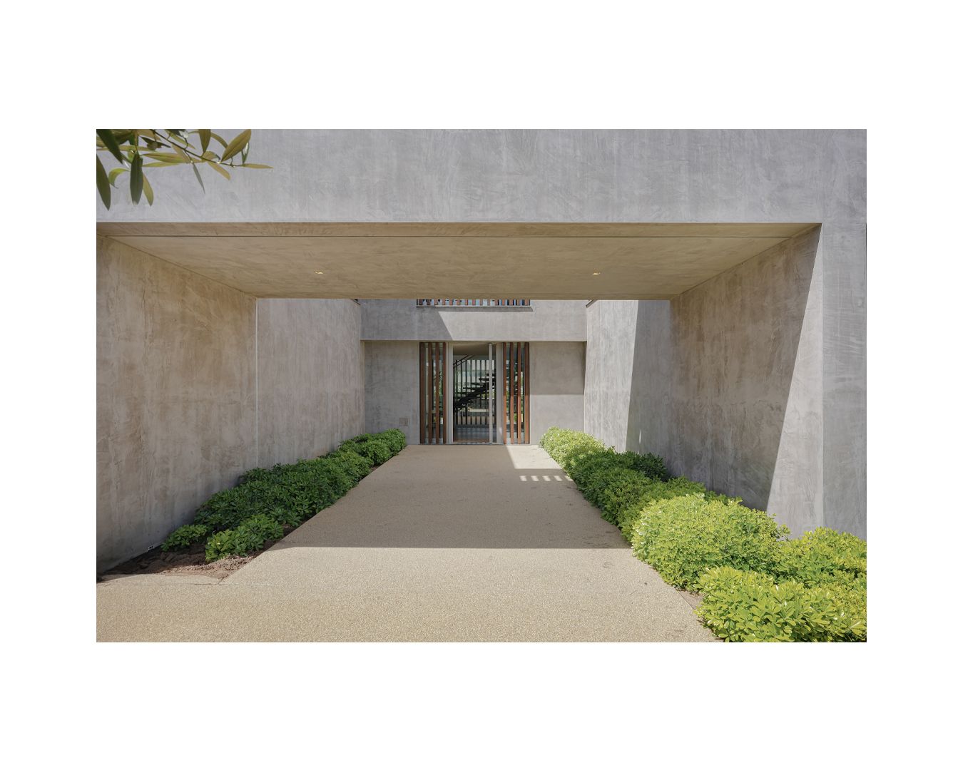 Modern concrete entrance walkway with symmetrical landscaping and green shrubs.