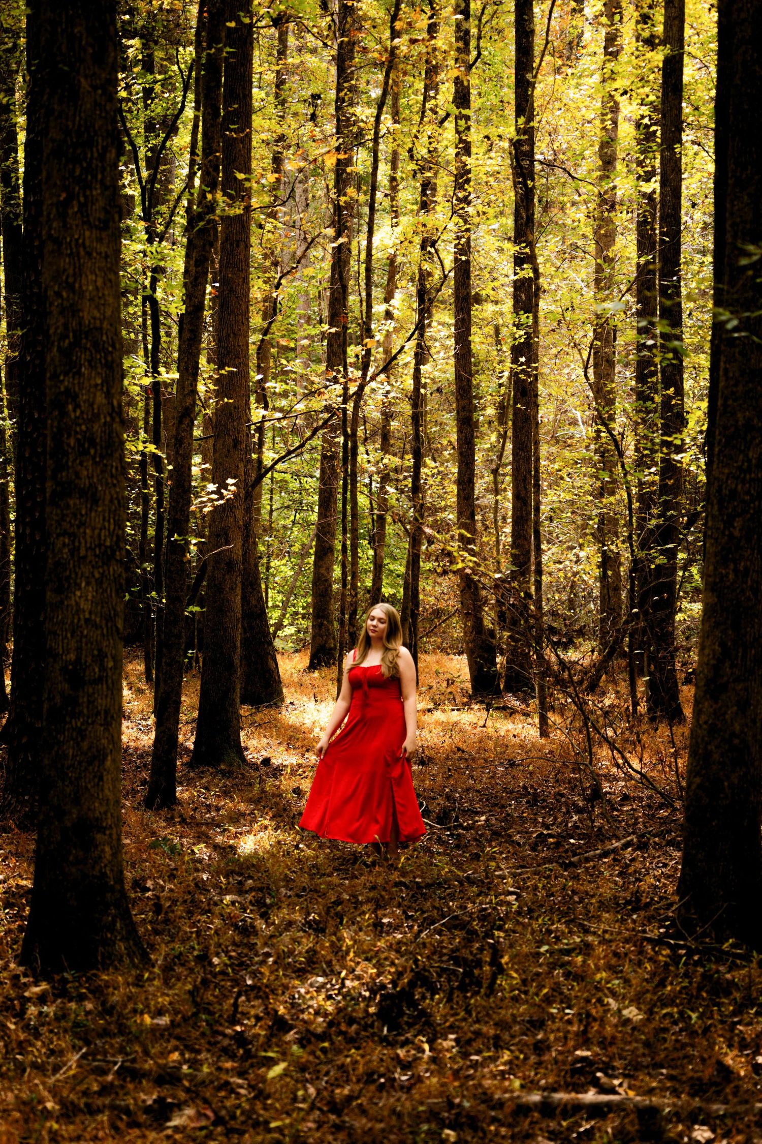 A red dress stands out against an autumn forest backdrop with golden leaves scattered on the ground.