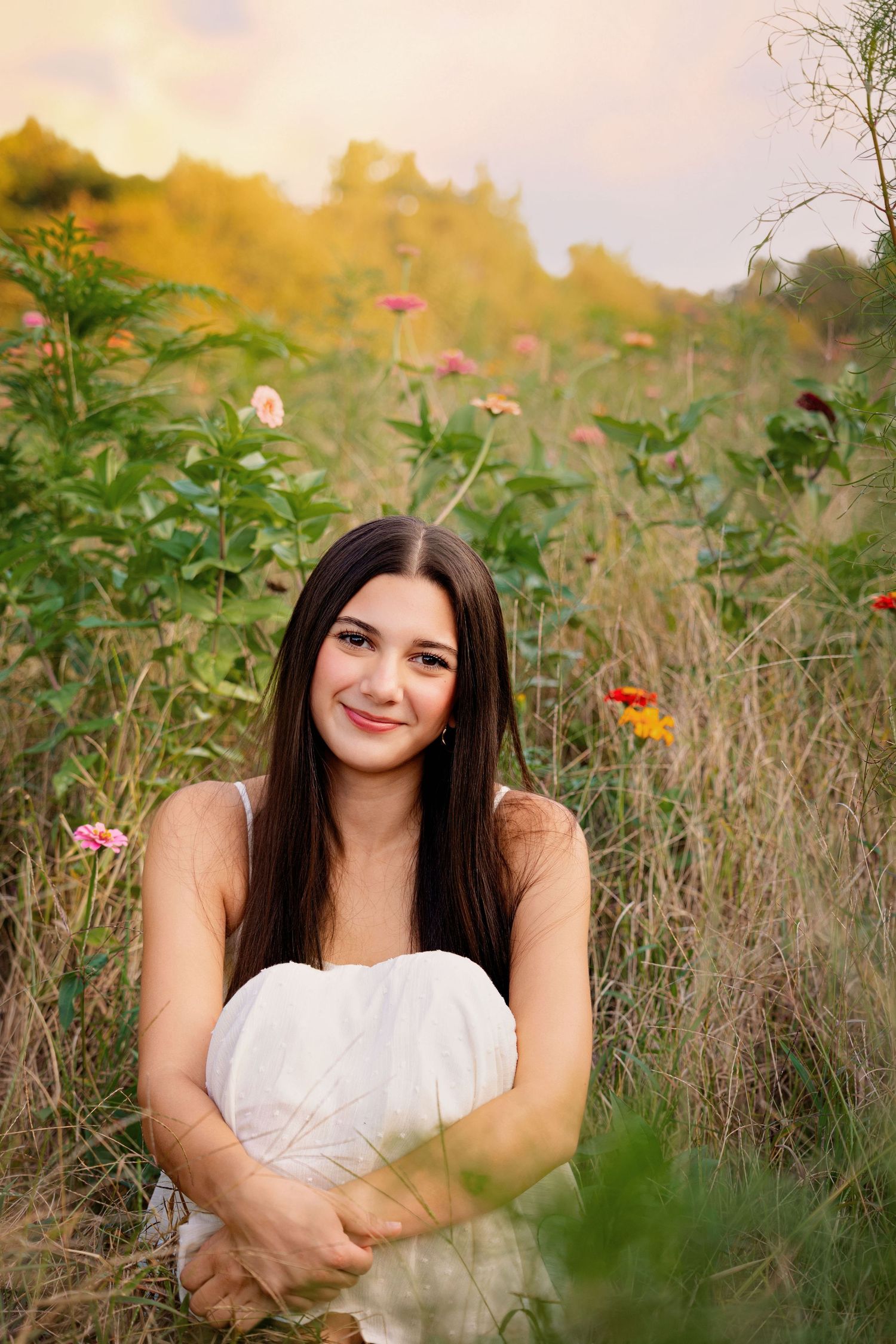 A peaceful wildflower meadow scene at golden hour with soft natural lighting and colorful flowers.
