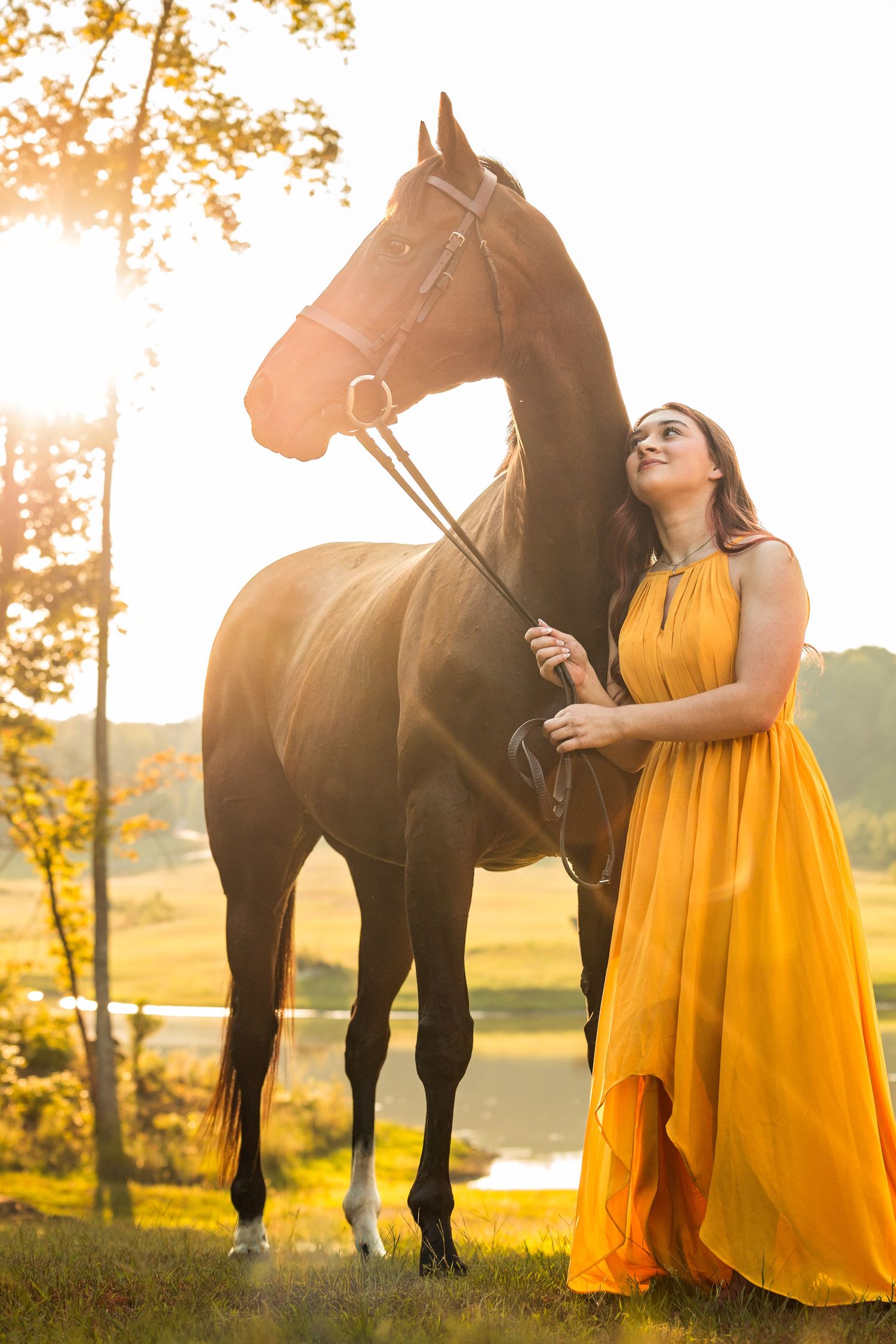 Woman in golden gown stands beside dark horse at sunset in scenic countryside.
