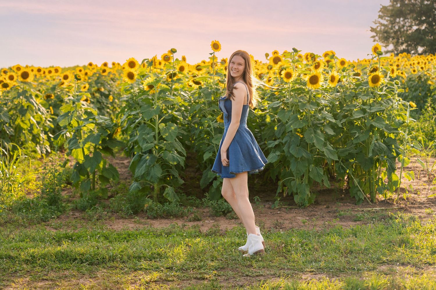 Sunflower field photoshoot with golden sunset lighting.