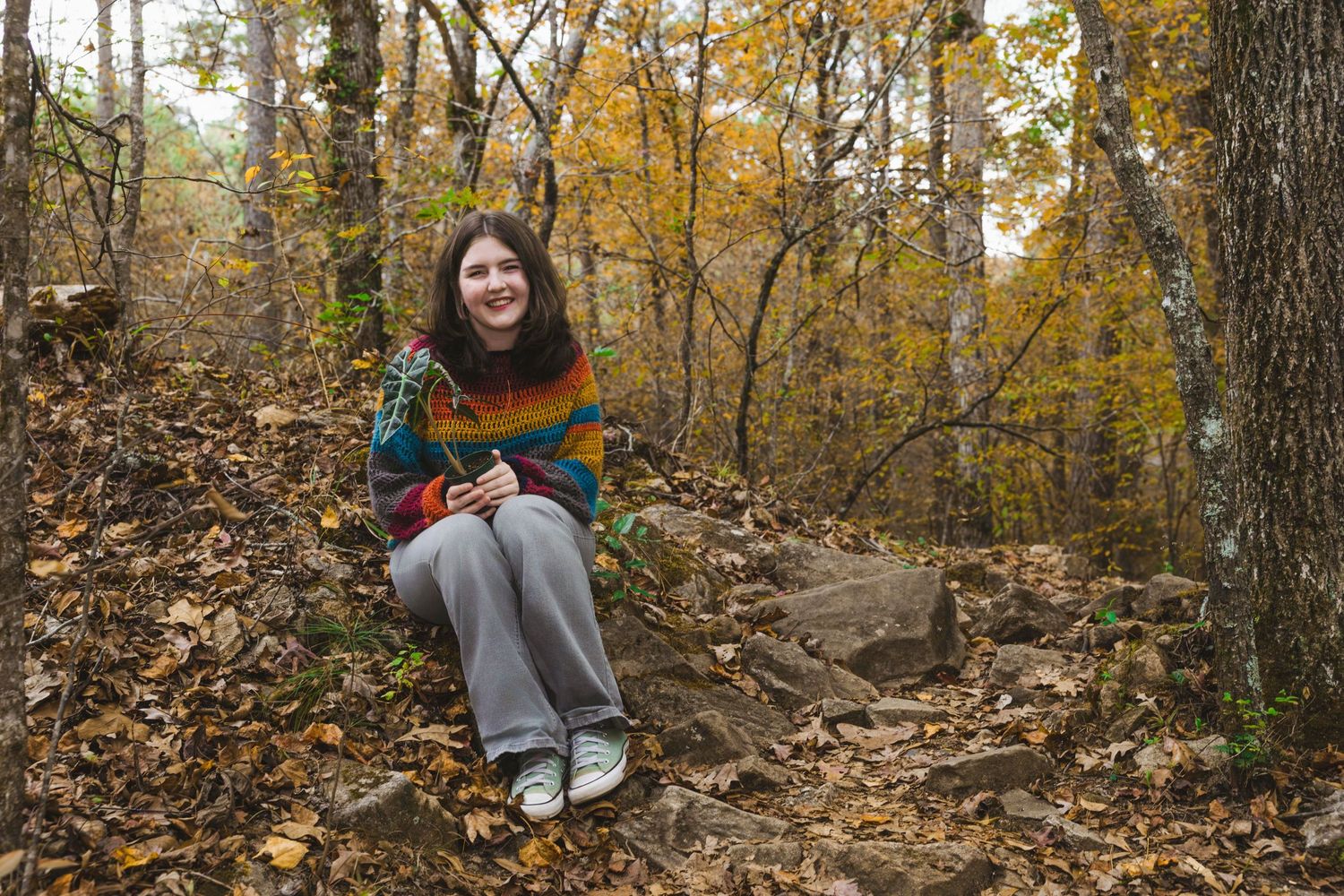 A group of hikers traverse a scenic autumn forest trail covered in fallen yellow and orange leaves.