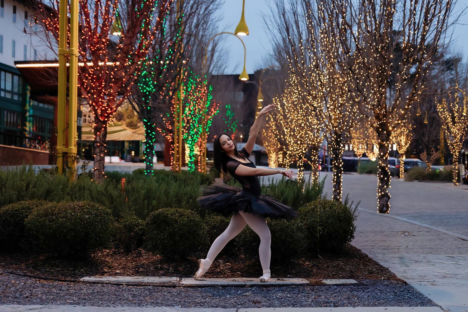 Holiday lights illuminate trees along a walkway at dusk creating a festive winter atmosphere.