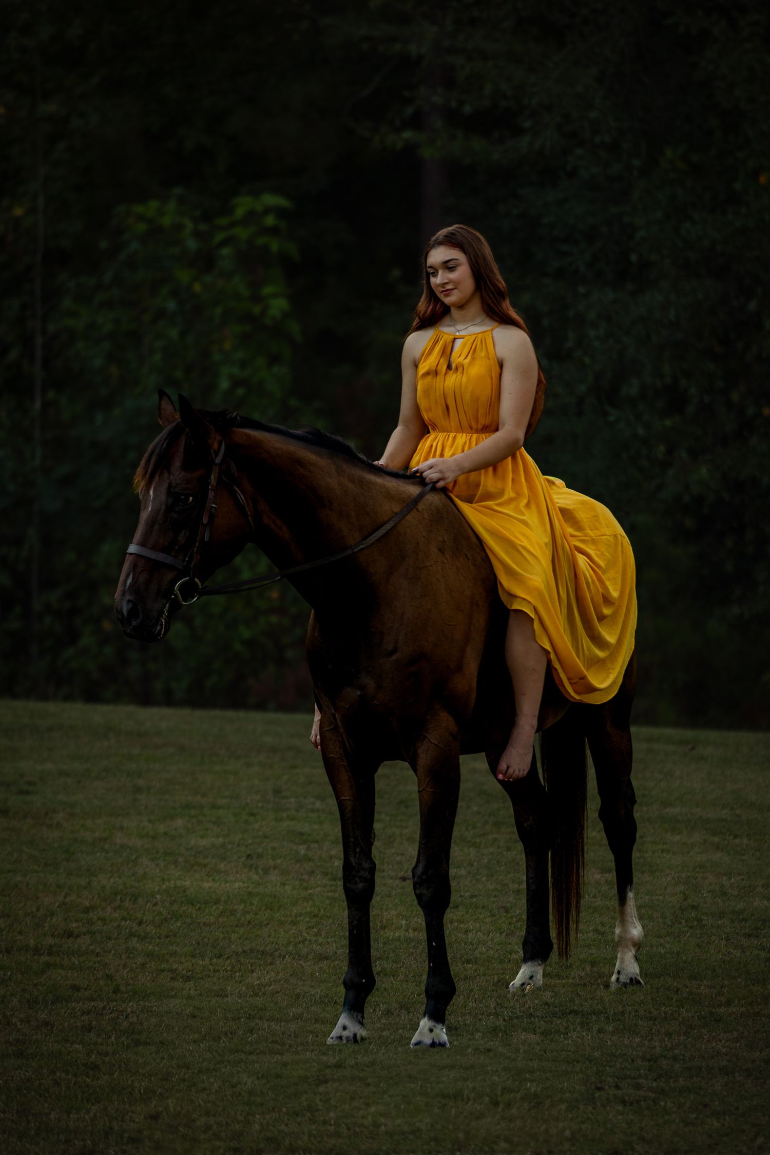 Young woman in flowing yellow dress riding a dark bay horse on a green field with forest background.