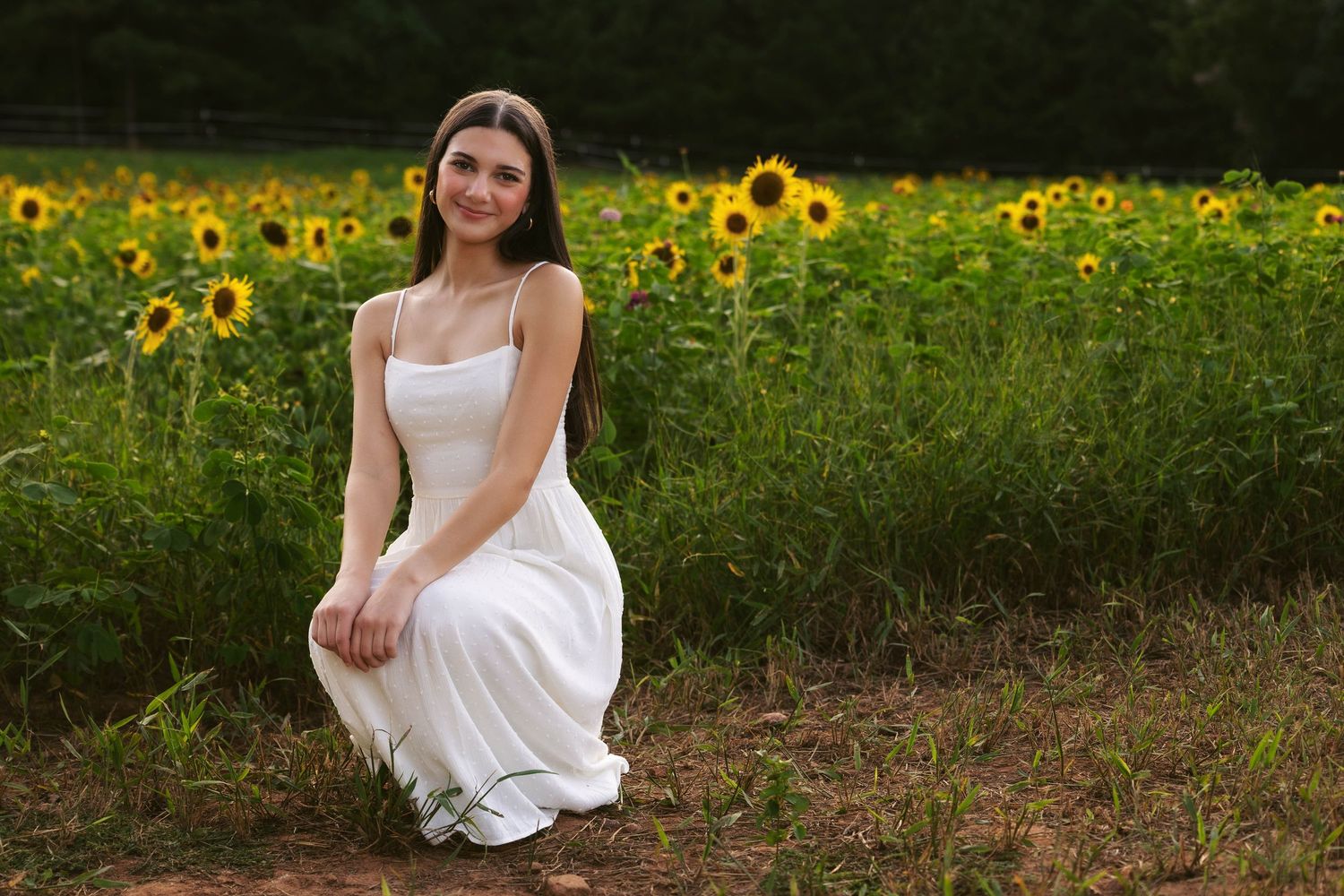 Beautiful sunflower field setting at golden hour with charming portrait in a white dress.
