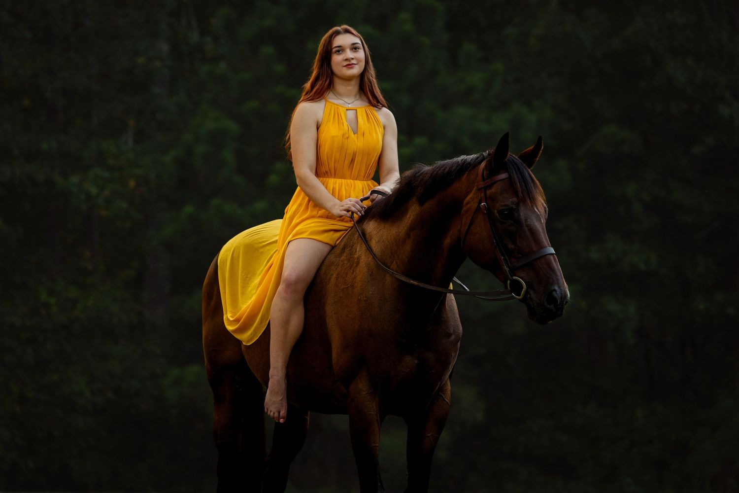 Woman in yellow dress riding a brown horse against a dark green forest background.