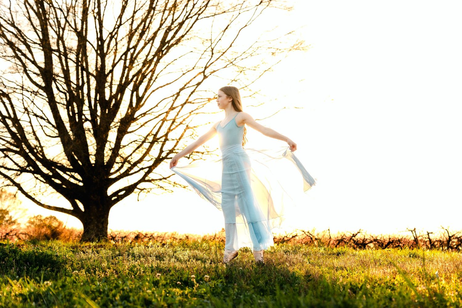 Woman in blue dress dancing gracefully in a sunlit meadow beside a bare tree during golden hour.