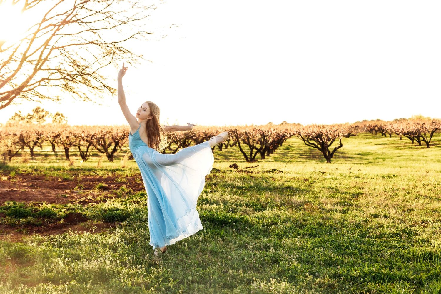 Woman in blue dress dancing gracefully in sunlit orchard field during golden hour.