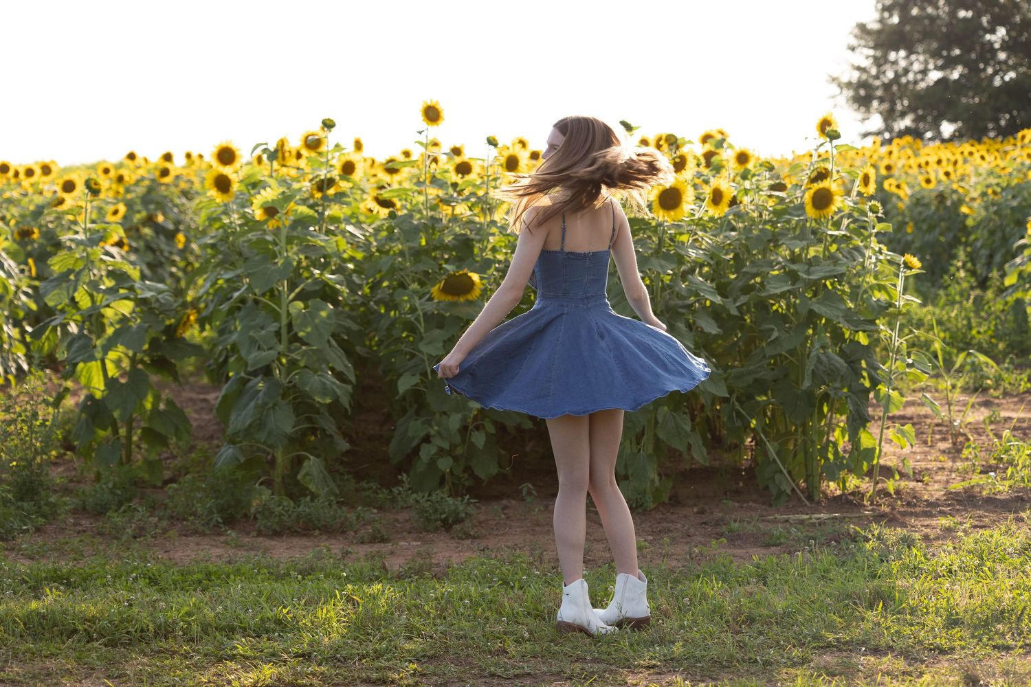 A person in a blue dress poses in a vibrant field of blooming sunflowers at sunset.