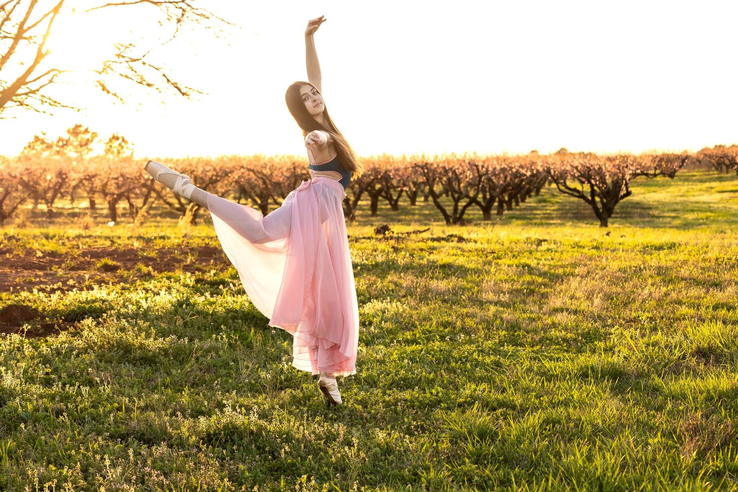 A graceful ballerina in a pink dress dances en pointe in a sunlit green field with trees at golden hour.