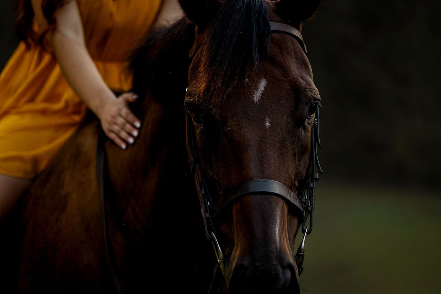 A woman in a golden dress rides a dark brown horse, gently resting her hand on its neck.
