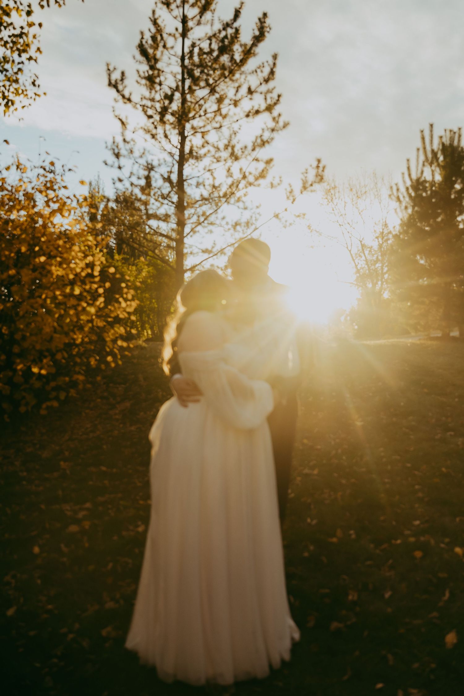 Silhouette of a couple embracing in a romantic sunset with golden light filtering through trees.