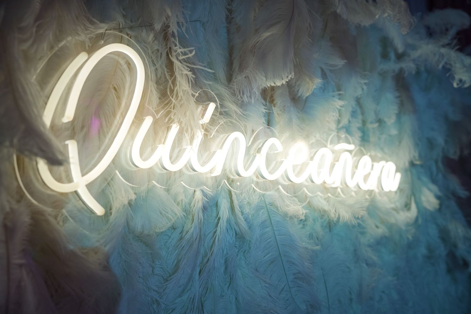 Finding the Perfect Quinceanera Photographer: A Guide to Capturing Your Special Day quinceanera photography packages