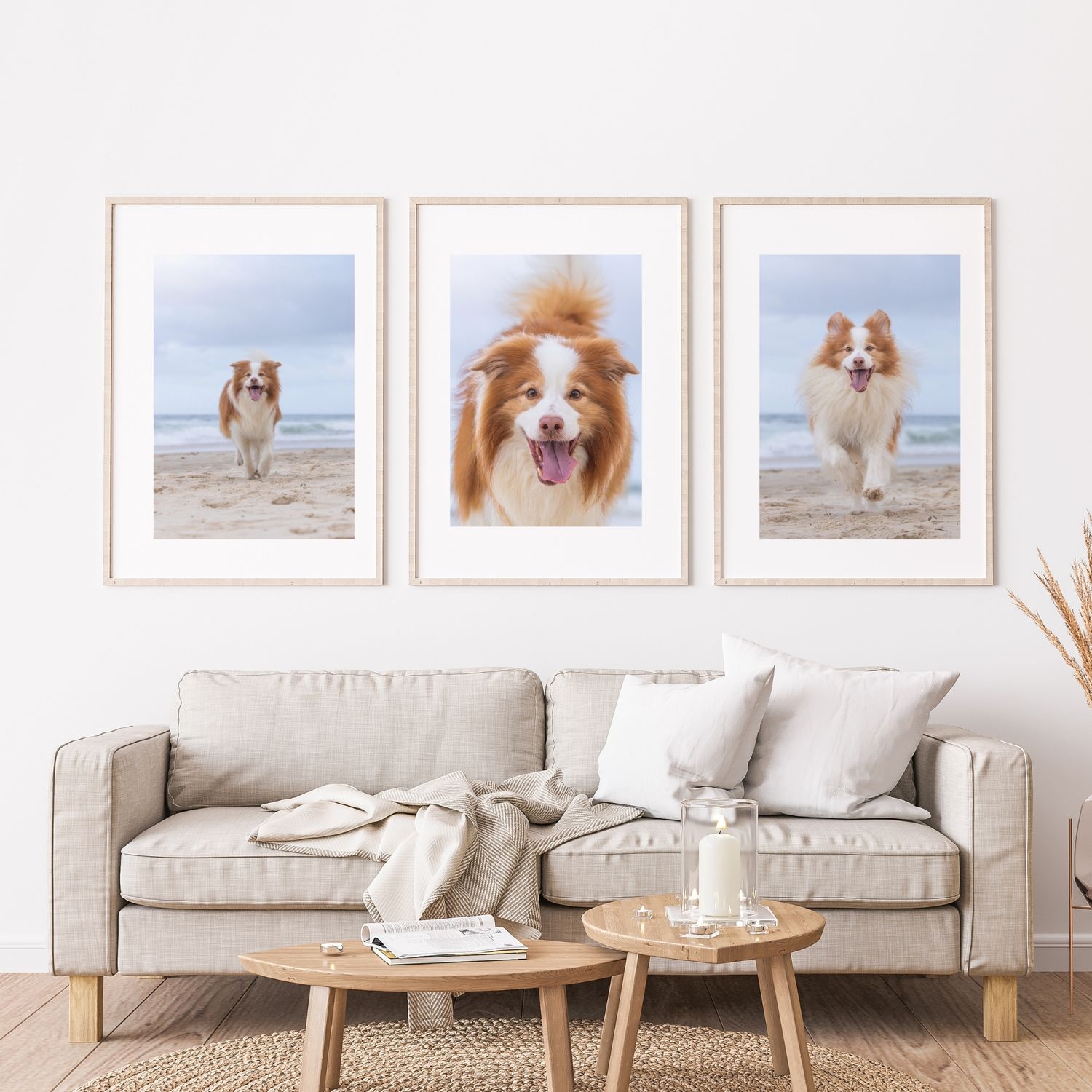 Gallery wall of dog portraits above a modern living room setup with beige sofa and wooden coffee tables.