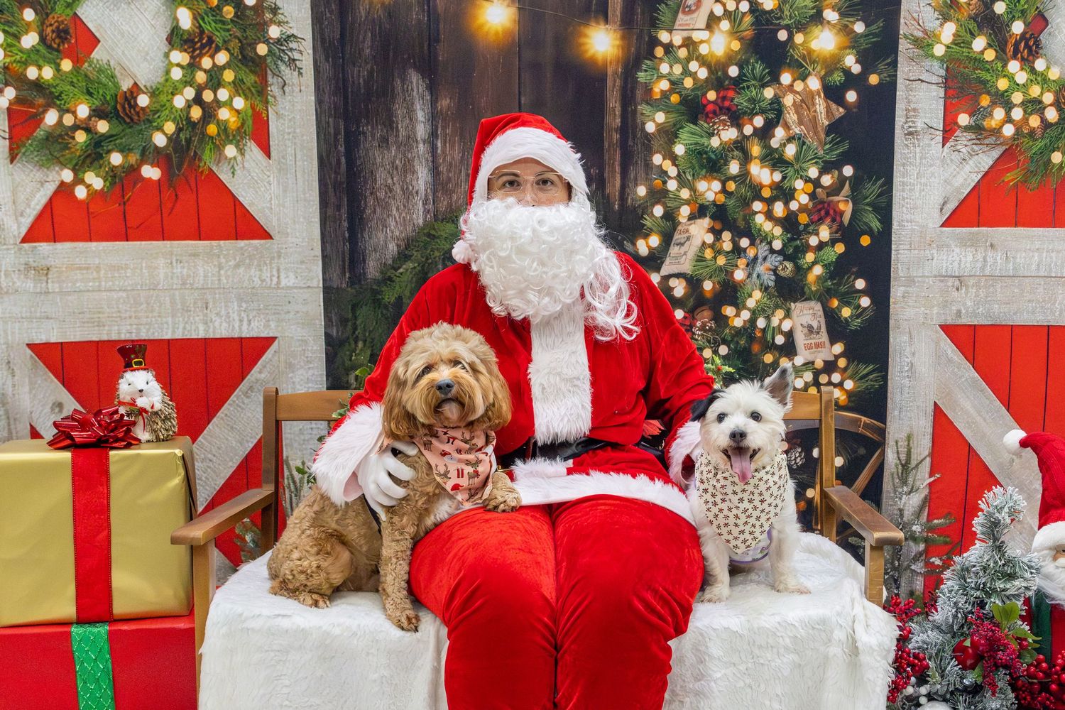 A horizontal collage of festive Christmas scenes with Santa Claus figures, pets, and decorated Christmas trees and backgrounds.