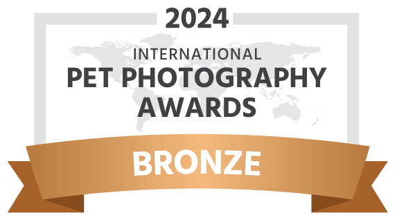 2024 International Pet Photography Awards Bronze banner with ribbon.