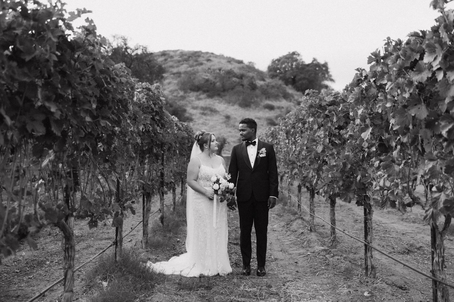 Black and white photo of a bride and groom standing together in a vineyard on their wedding day.