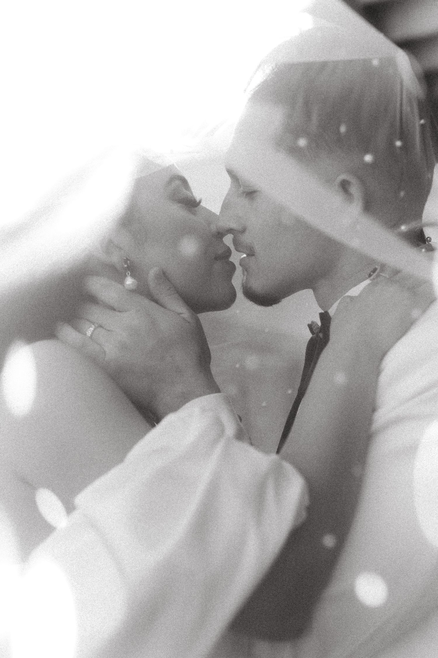 bride and groom portrait under the veil at their Barton House of Redlands wedding captured by SoCal wedding photographer Jocelyn Ann