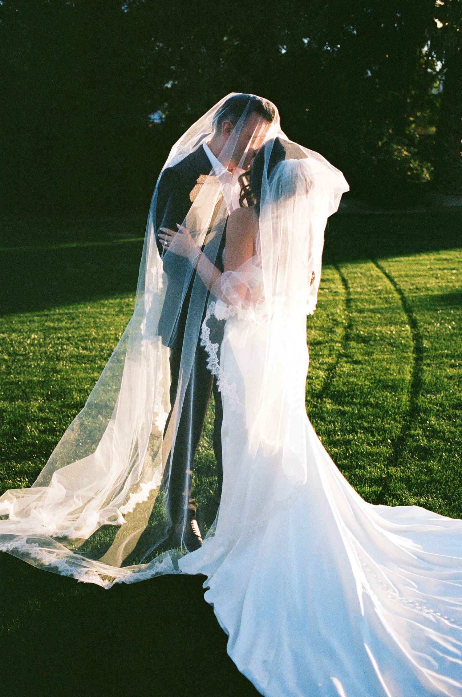 Bride and groom sharing a kiss under a flowing lace wedding veil on a sunlit green lawn.