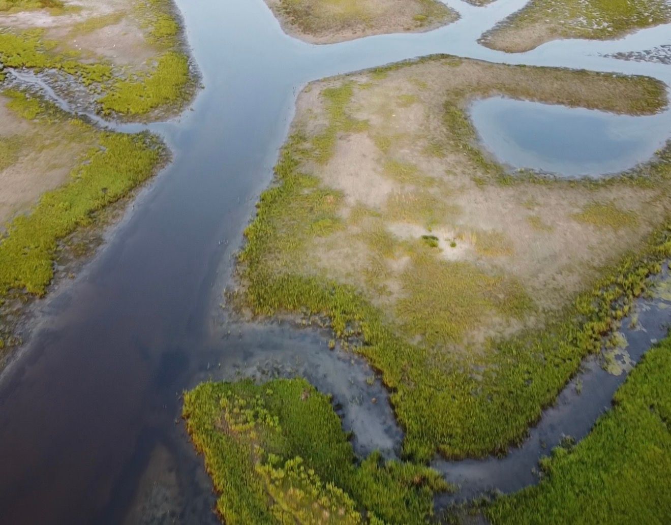 Aerial drone view of winding waterways through lush green wetlands and marshland ecosystem.
