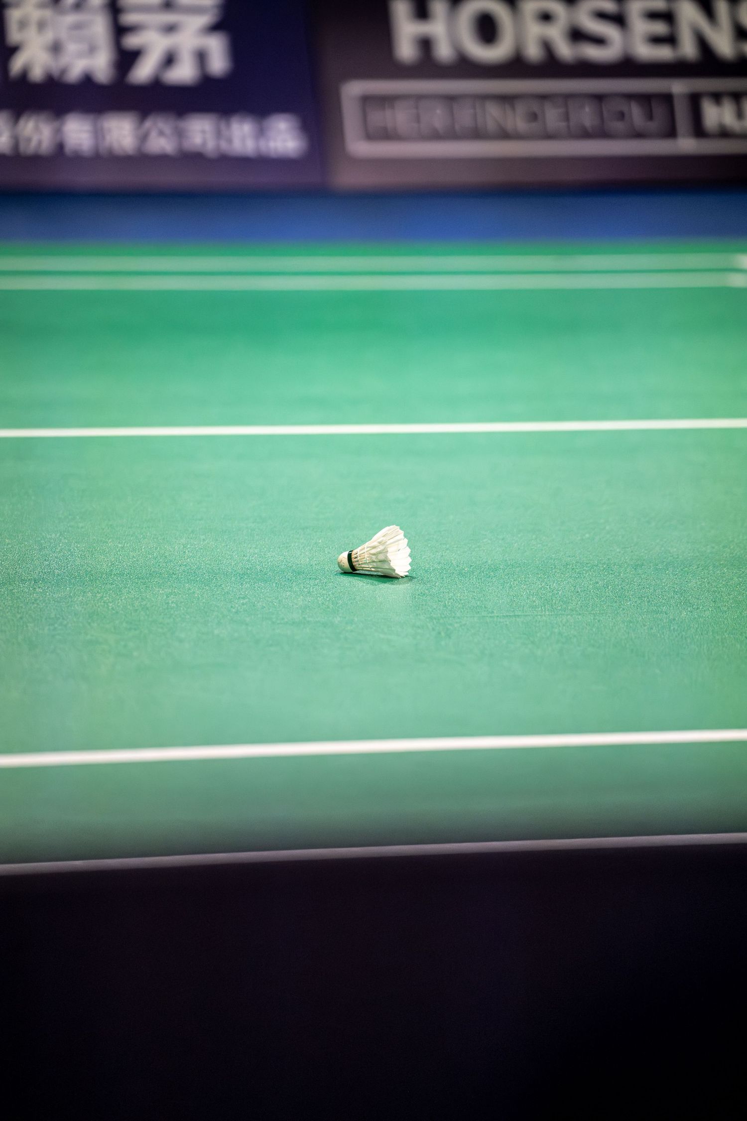White feather shuttlecock resting on green badminton court near boundary line during indoor tournament.