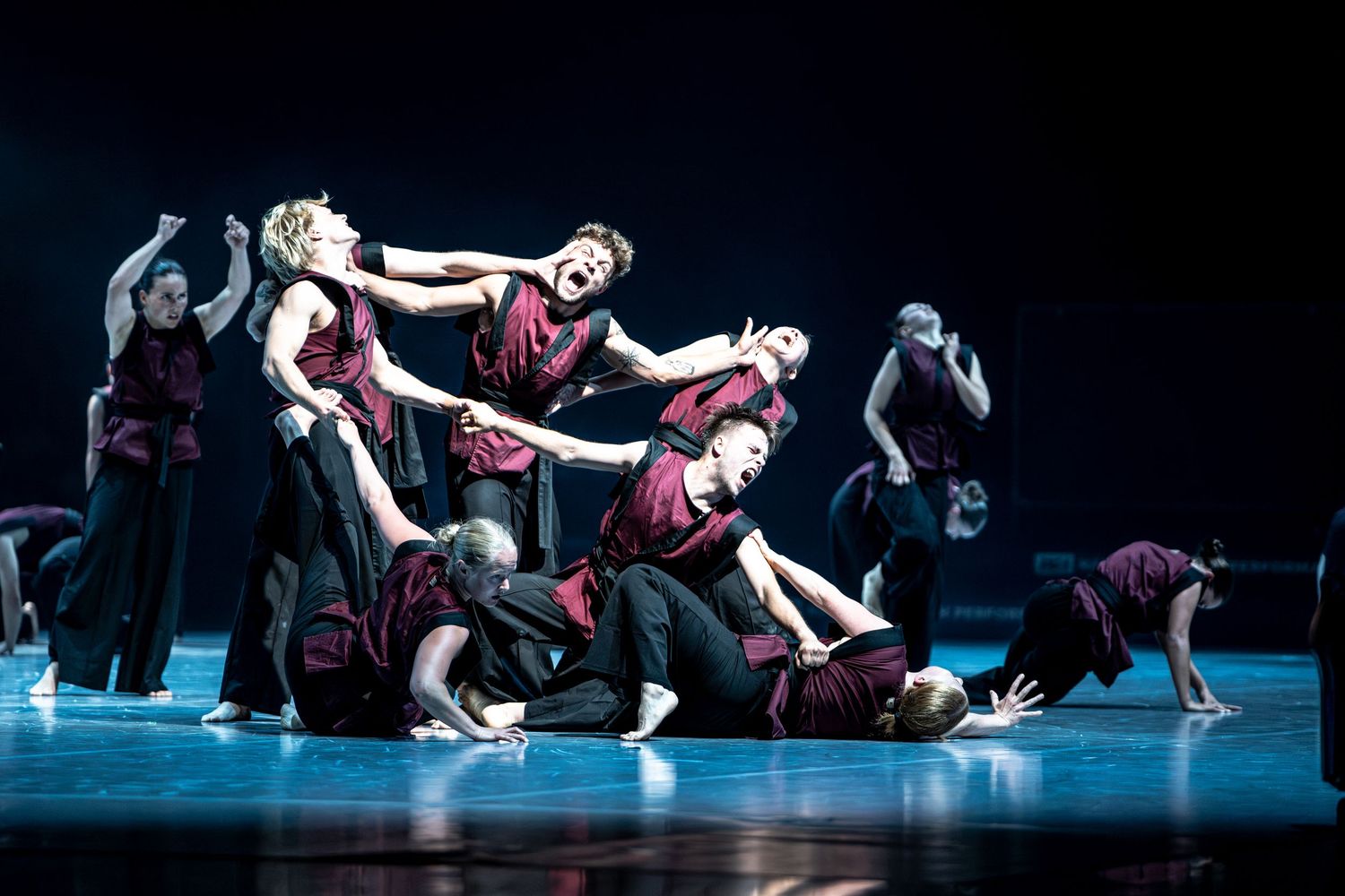 Contemporary dance ensemble in burgundy and black costumes performing an intense group piece.