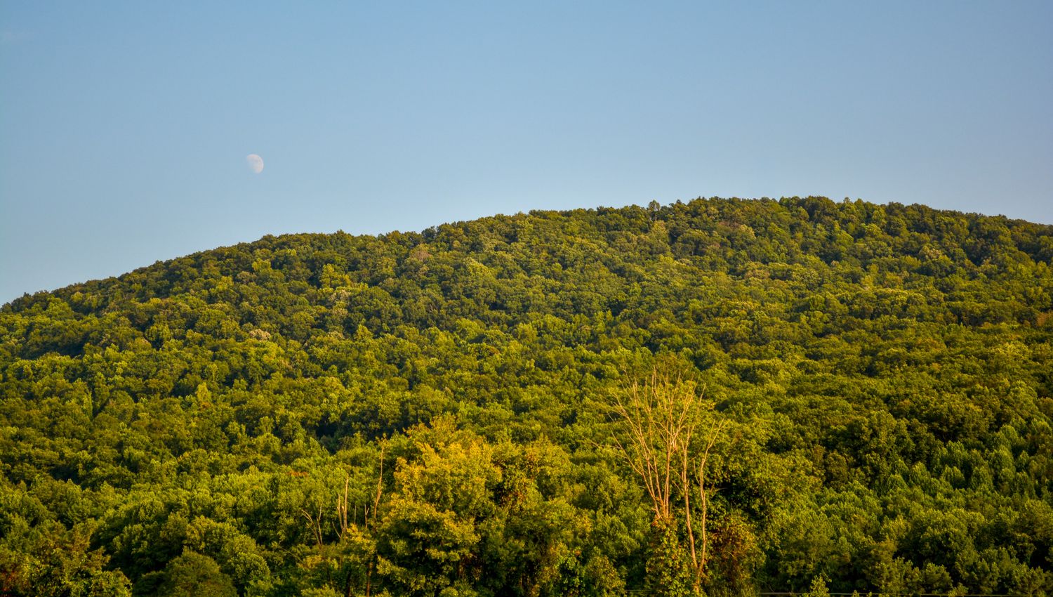 Hidden Moon