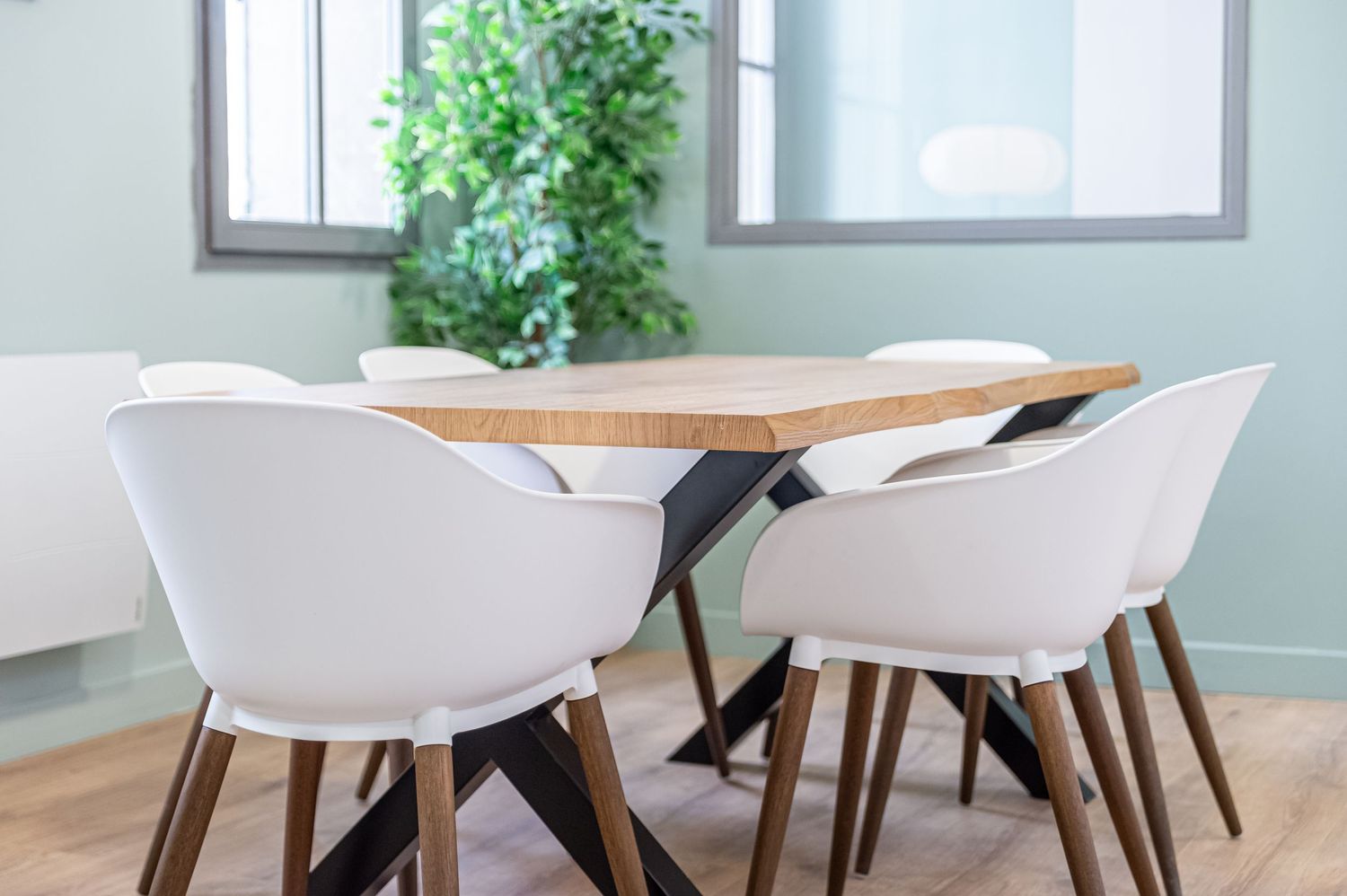 Minimalist dining area with wooden table, white modern chairs, and lush green plant against sage green walls.