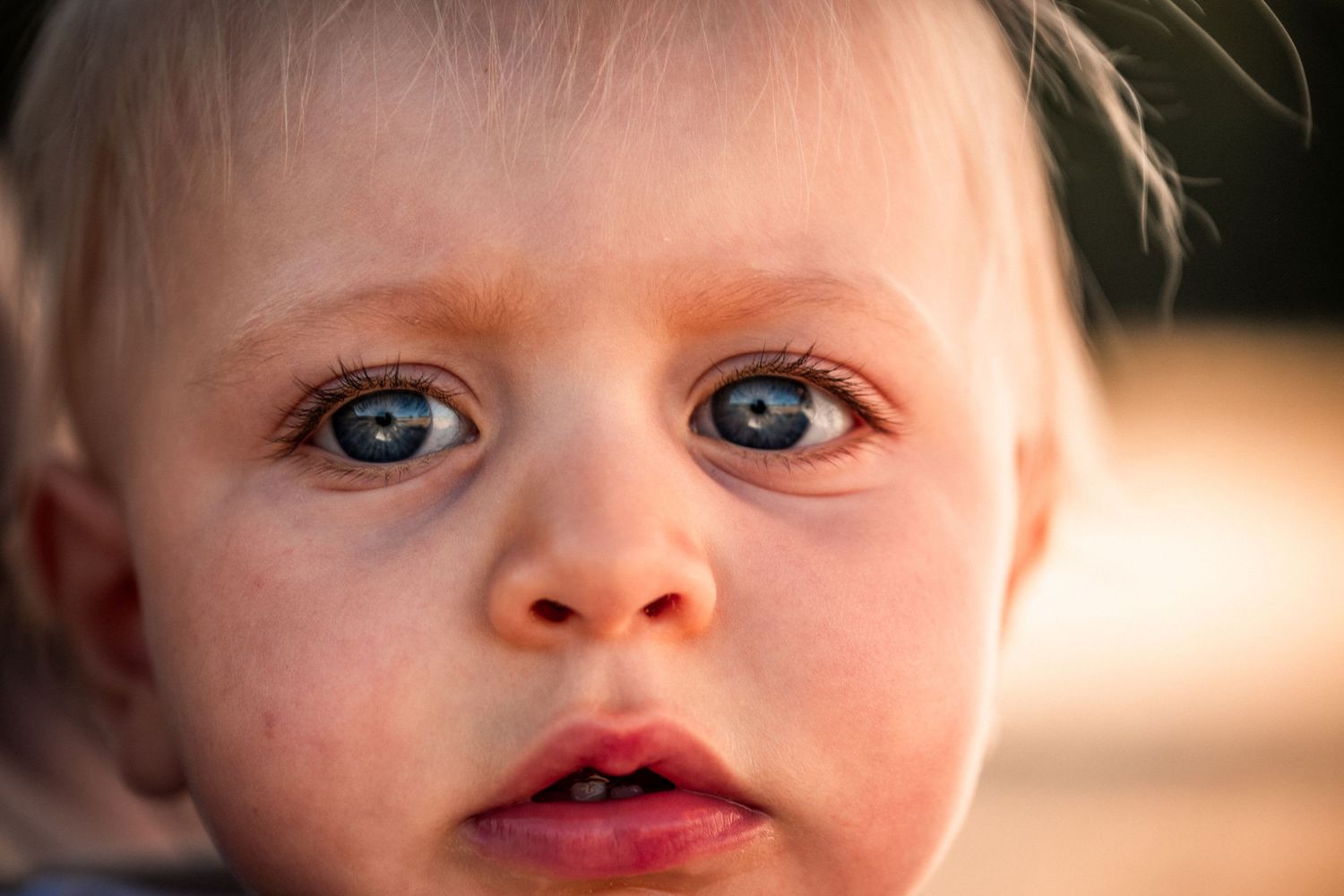 Close-up portrait of a blue-eyed toddler with blonde hair and a curious expression in warm natural light.