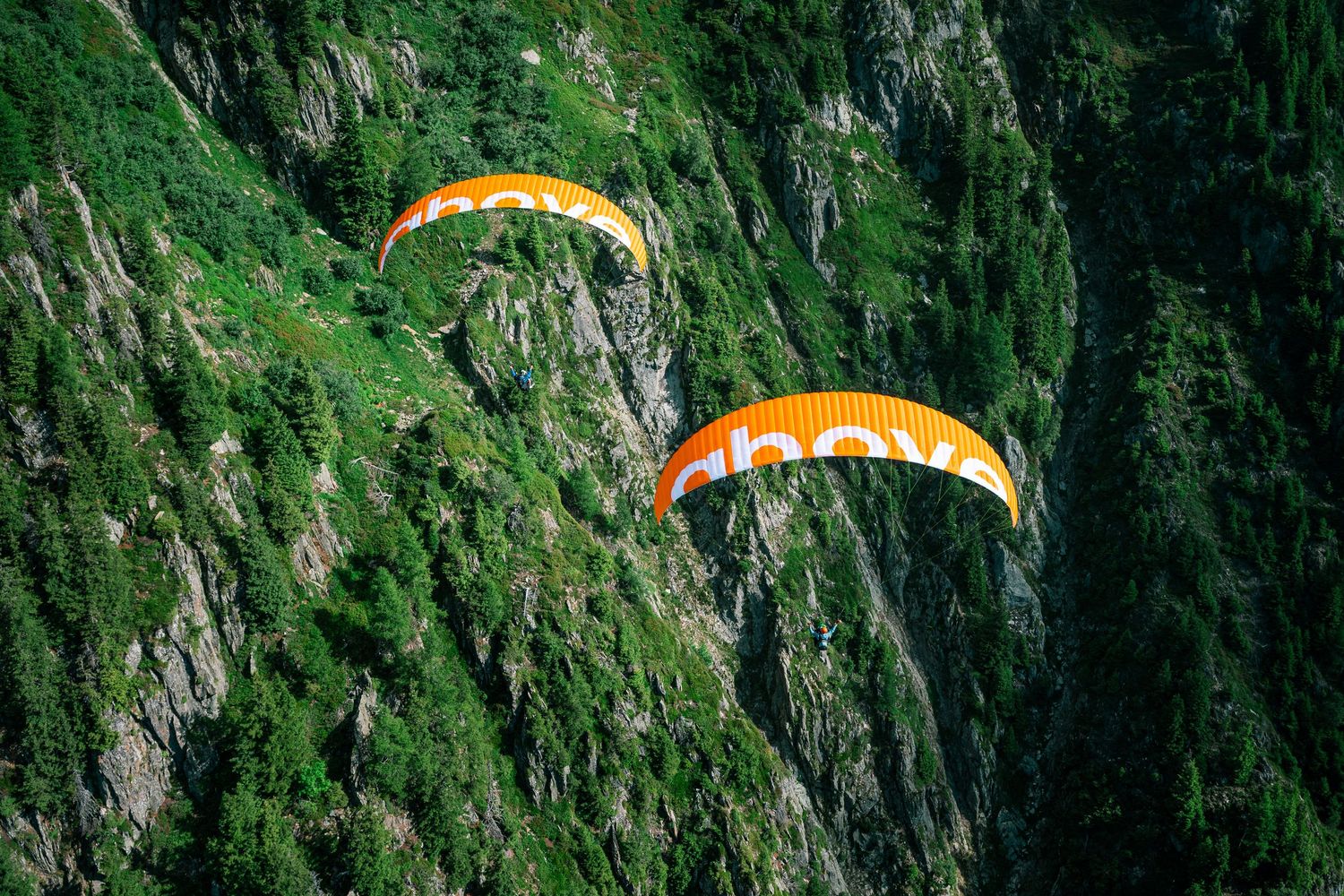 Two orange paragliders soaring past a steep green forested mountain cliff face.