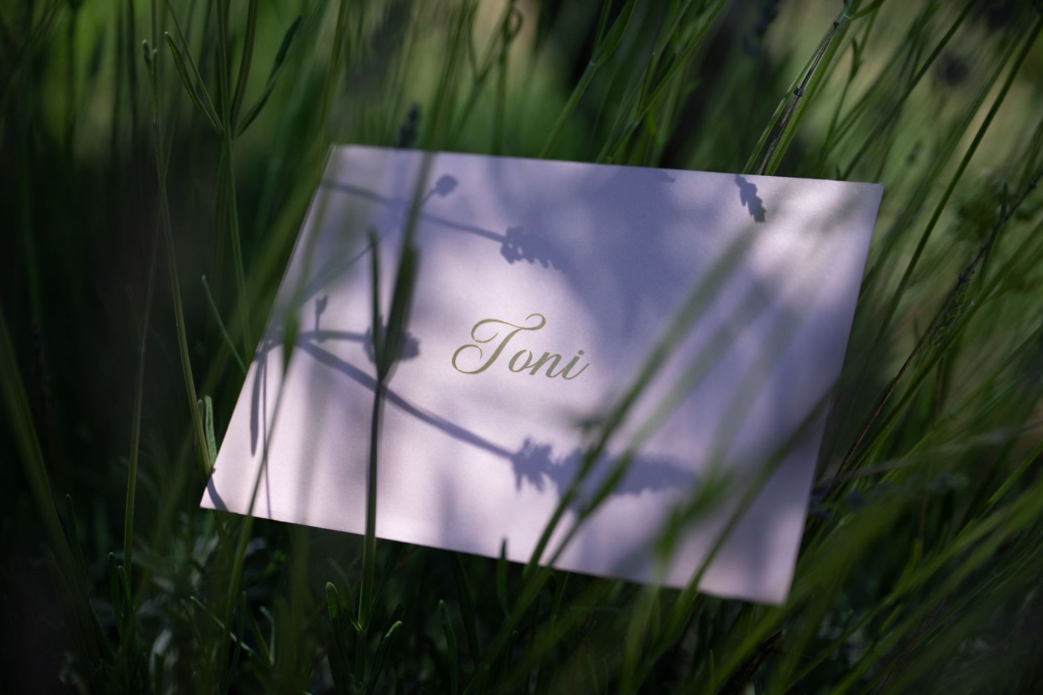 A white place card with elegant gold script reading Toni nestled among green grass and purple wildflowers.