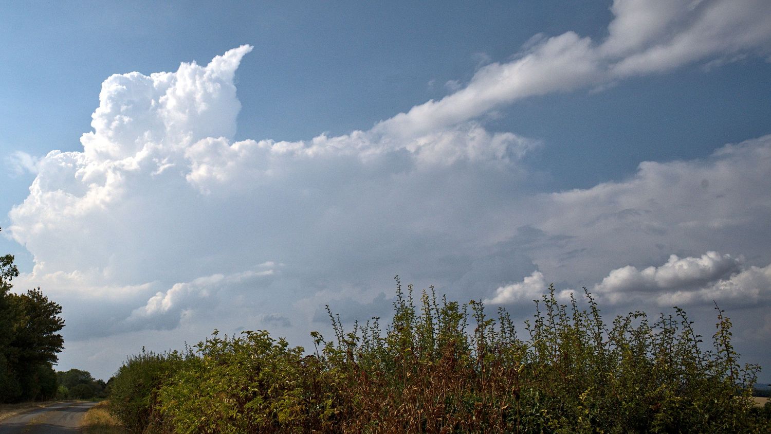 Large dramatic cumulonimbus storm cloud building over rural countryside with green hedgerows under blue sky.