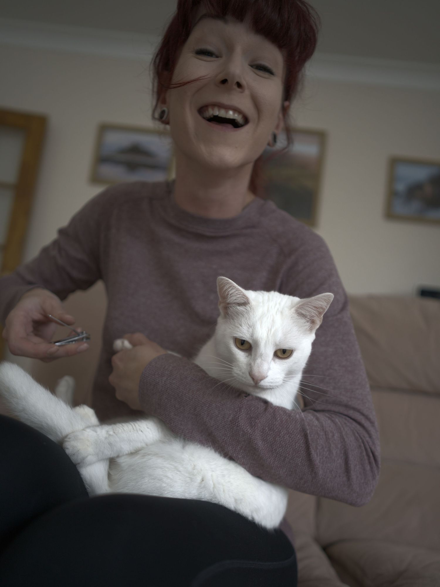 A laughing woman with red hair holds a white cat while sitting on a couch indoors.