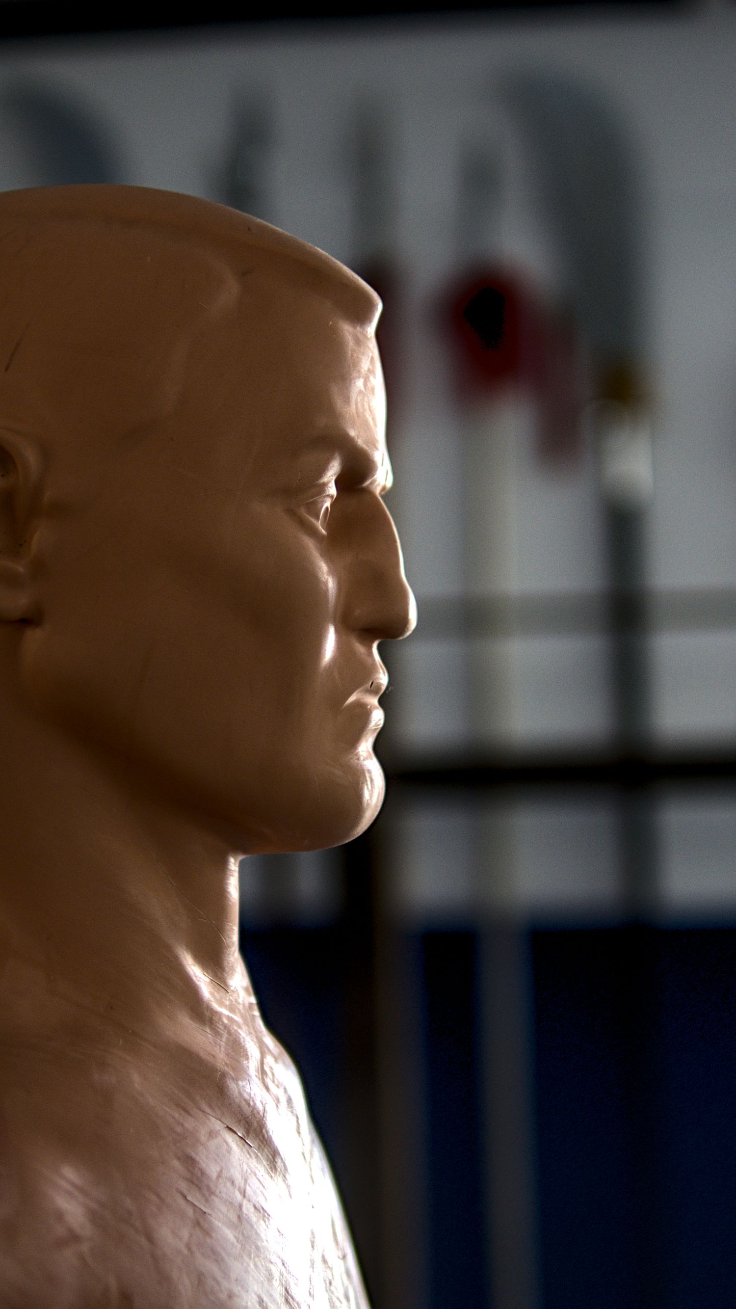 Close-up profile view of realistic male mannequin head in training facility.